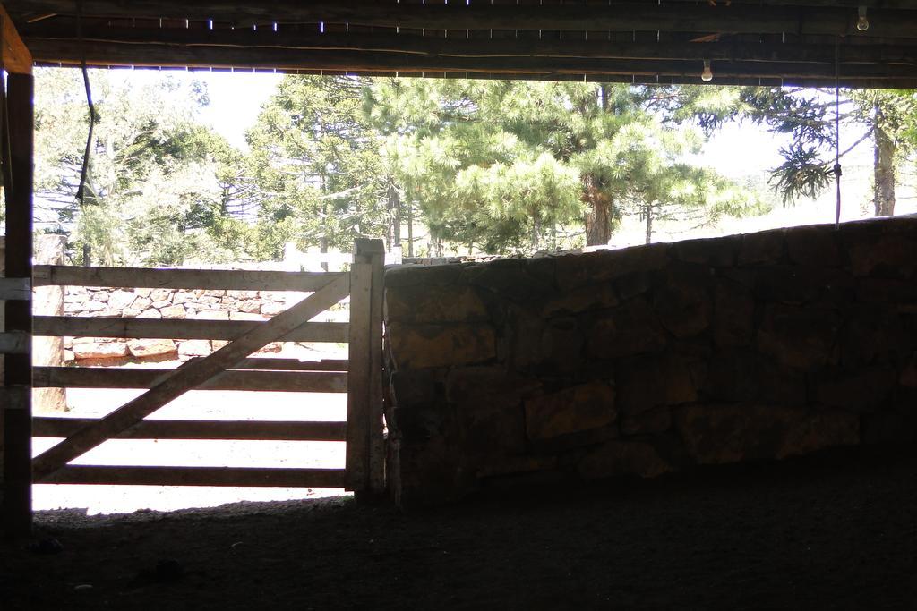 Hotel Fazenda Boutique Terra Do Gelo Bom Jardim da Serra Dış mekan fotoğraf